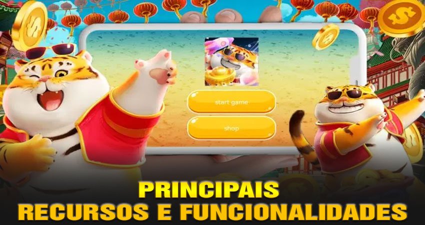 Principais Recursos e Funcionalidades